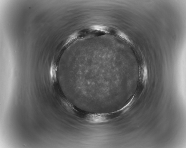 X0000084520094200703161556