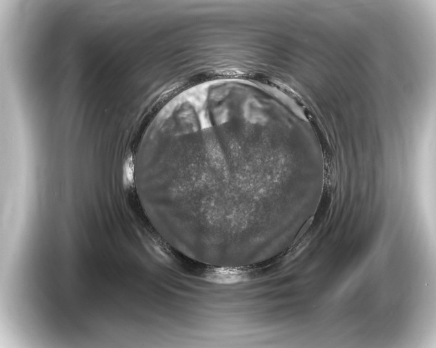 X0000084520095200703161556