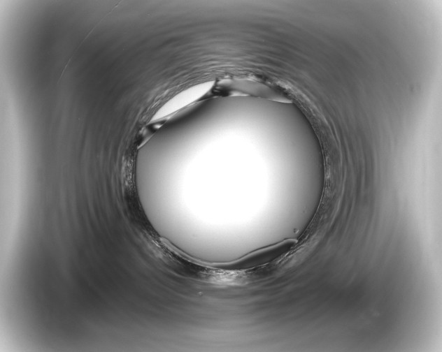 X0000084520096200703161556