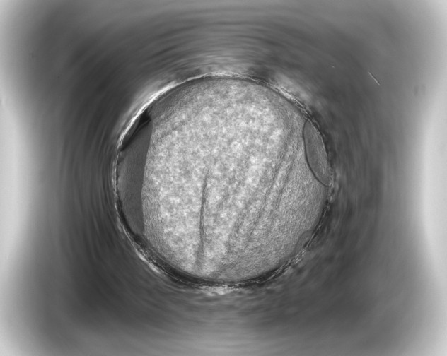 X0000084520098200703161555