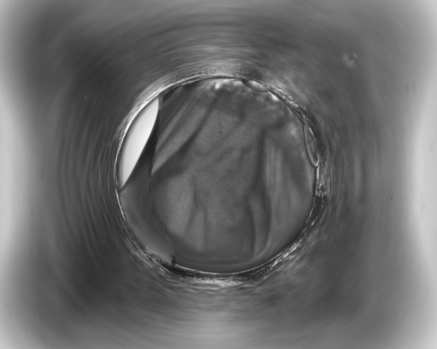 X0000084520099200703161555