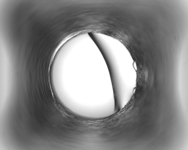 X0000084520100200703161555