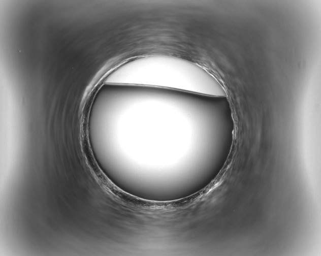 X0000084520101200703161555