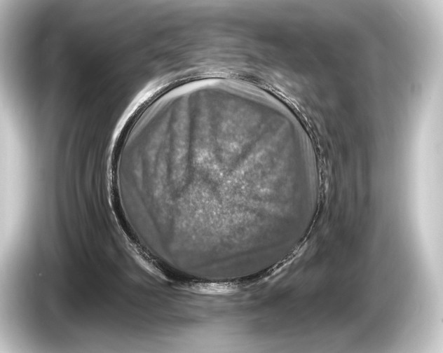 X0000084520102200703161555