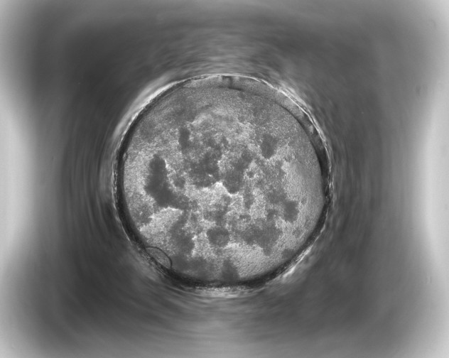 X0000084520103200703161555