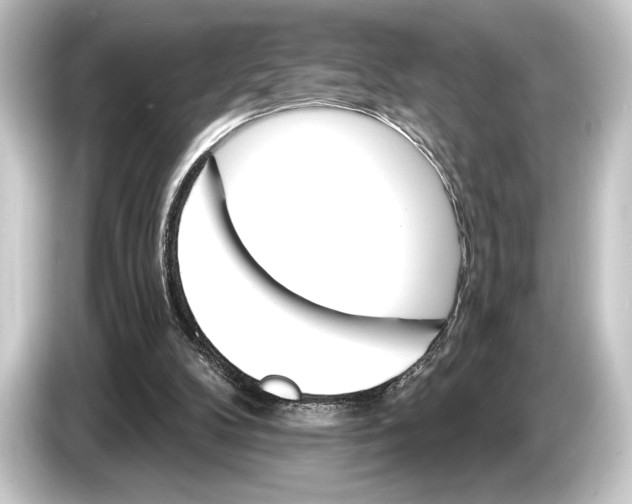 X0000084520104200703161555