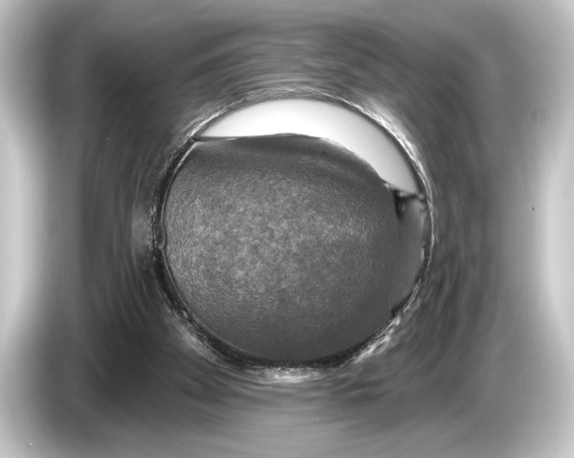 X0000084520105200703161555