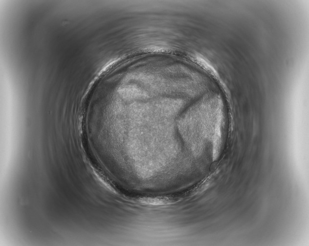 X0000084520106200703161555