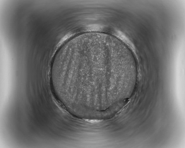 X0000084520107200703161555