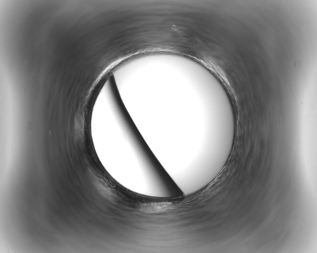 X0000084520108200703161555