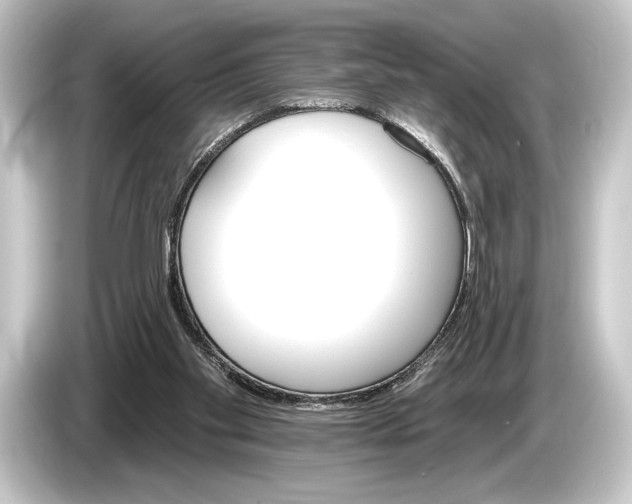 X0000084520109200703161555