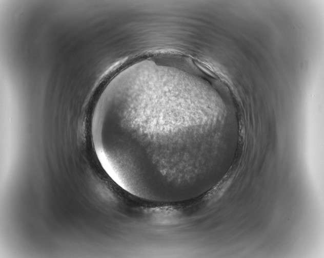 X0000084520112200703161555