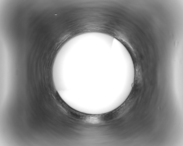 X0000084520114200703161555