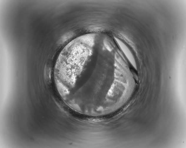 X0000084520115200703161555