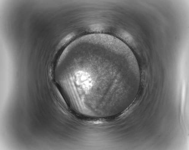 X0000084520116200703161555