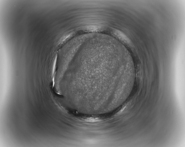 X0000084520119200703161555