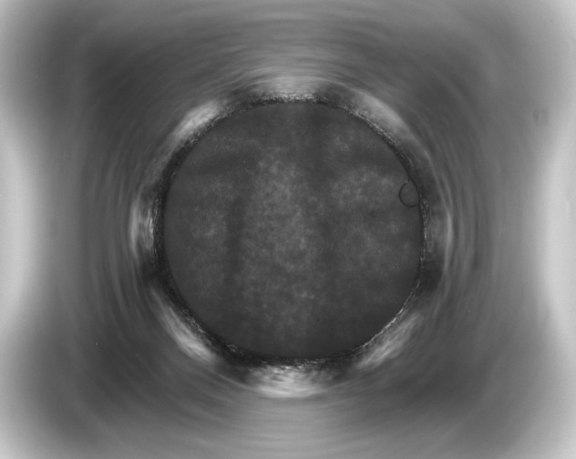 X0000084520120200703161555