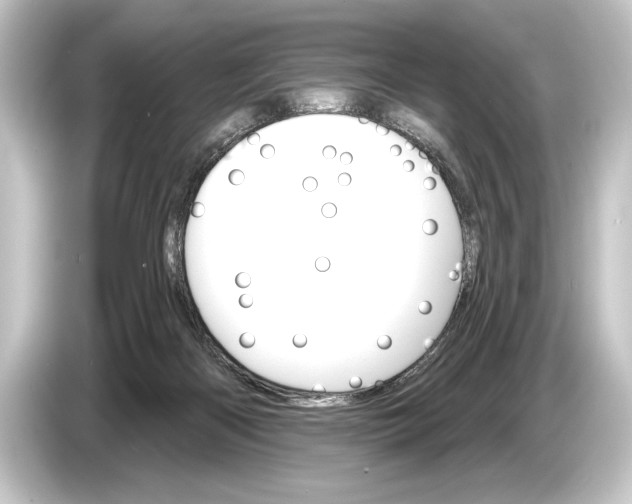 X0000084520122200703161555