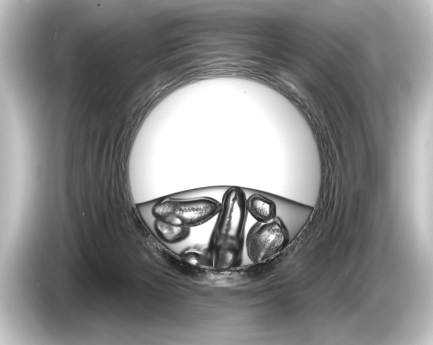 X0000084520125200703161555