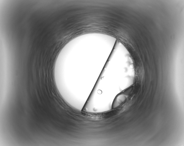 X0000084520127200703161555