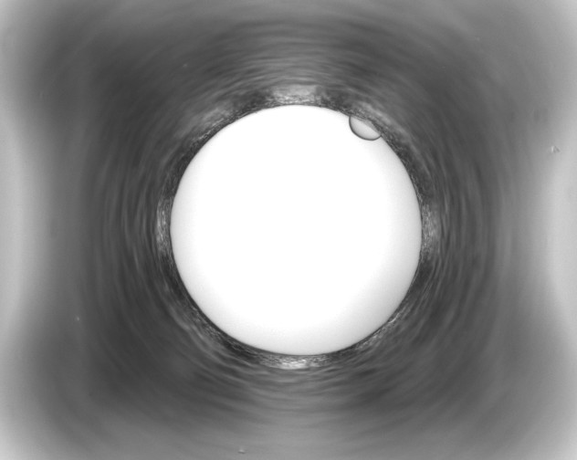 X0000084520130200703161555