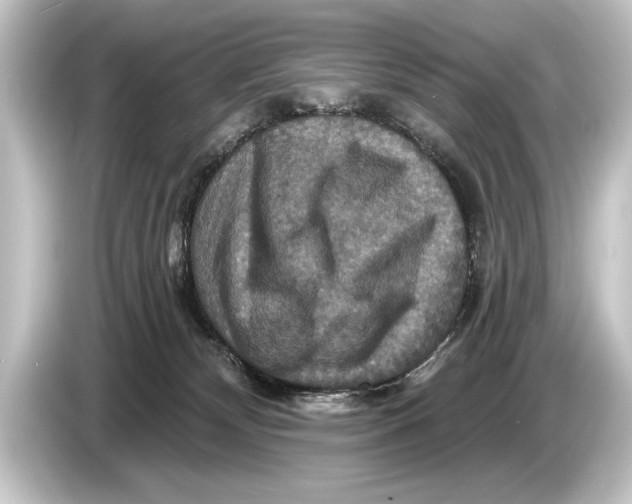 X0000084520132200703161555