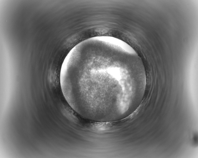 X0000084520136200703161555