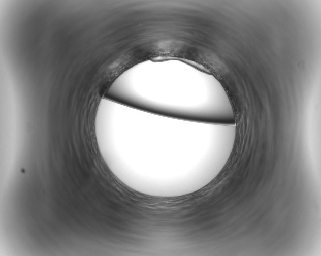 X0000084520137200703161555