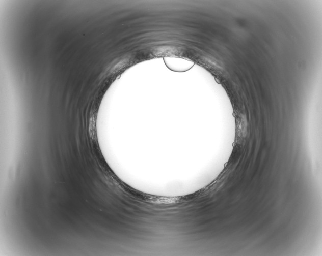 X0000084520138200703161555