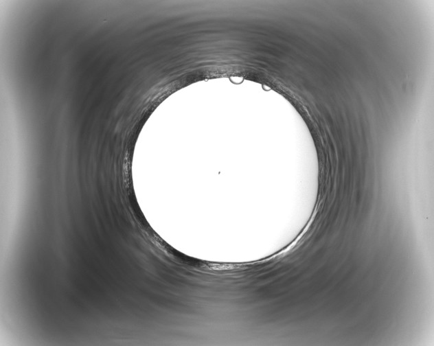 X0000084520144200703161555