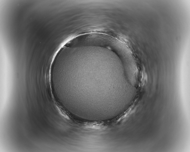 X0000084520148200703161554