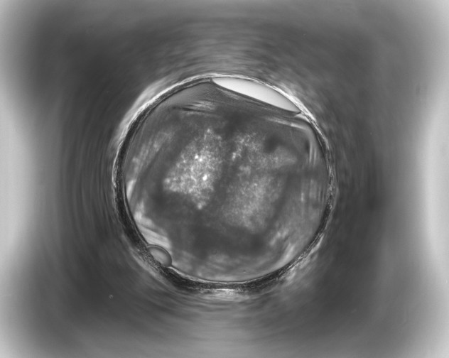 X0000084520151200703161554