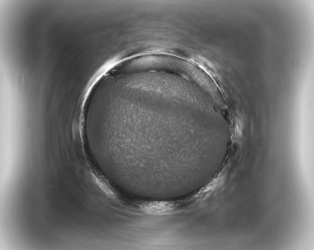 X0000084520152200703161554