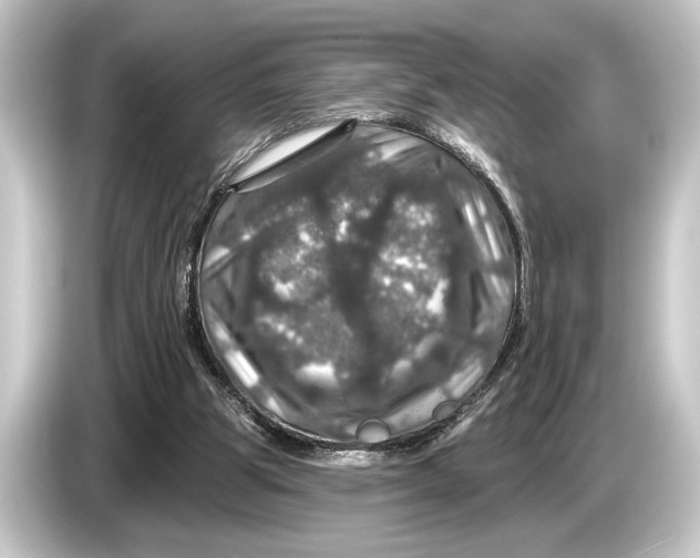 X0000084520153200703161554