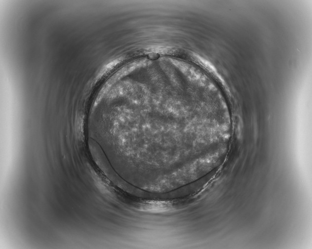 X0000084520154200703161554