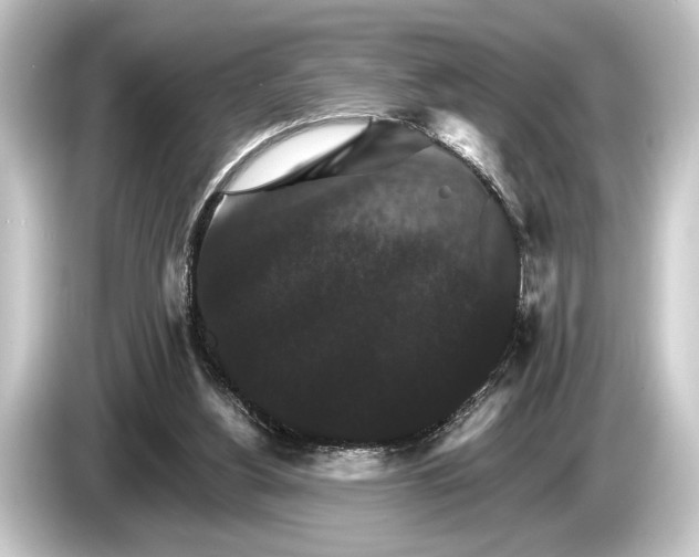 X0000084520156200703161554