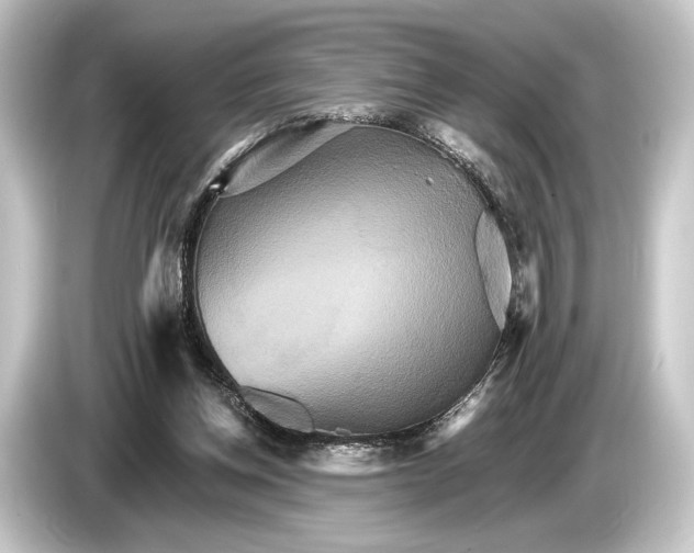 X0000084520158200703161554