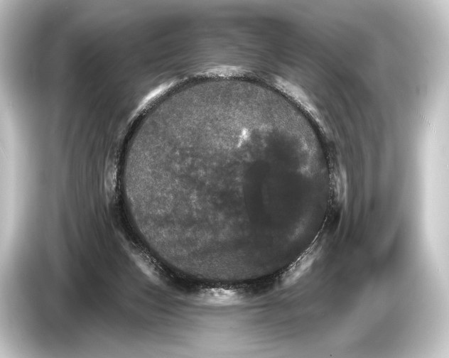 X0000084520159200703161554