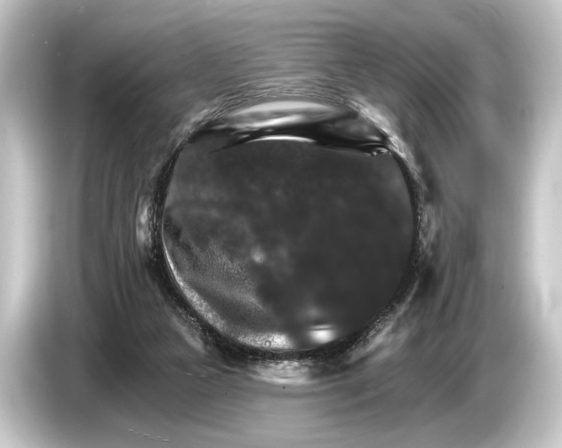 X0000084520161200703161554