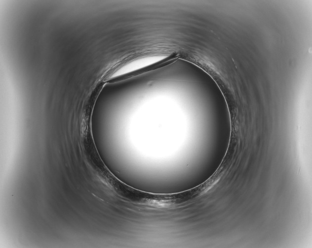 X0000084520164200703161554