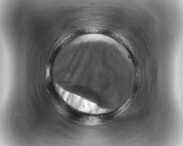 X0000084520166200703161554