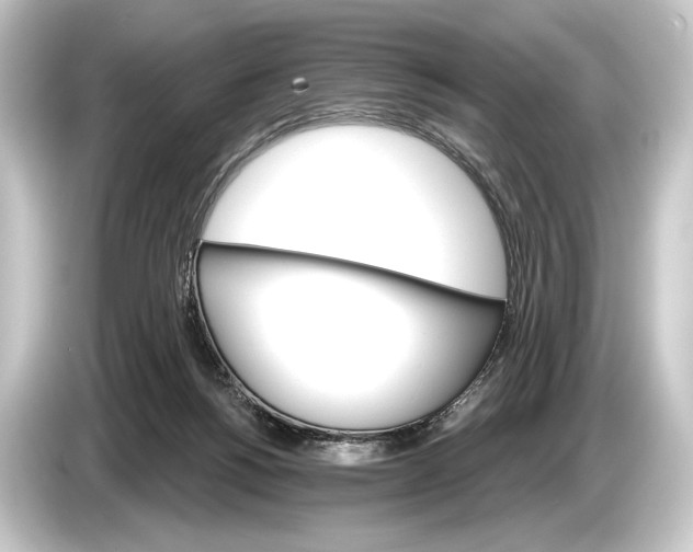 X0000084520168200703161554