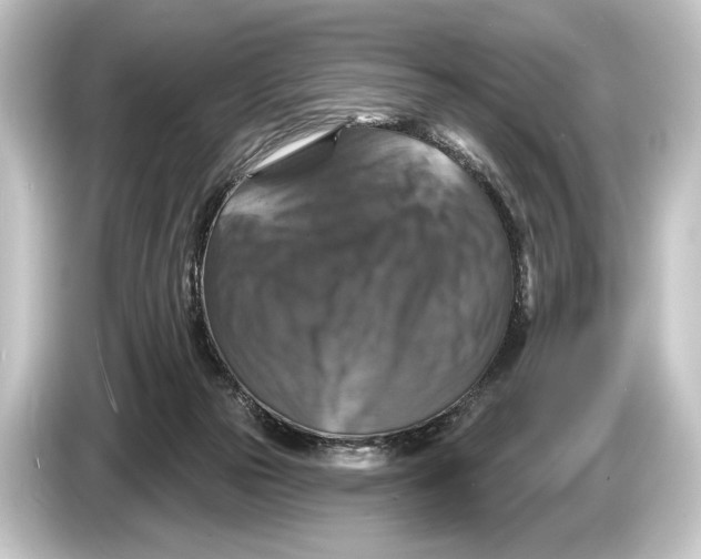 X0000084520169200703161554