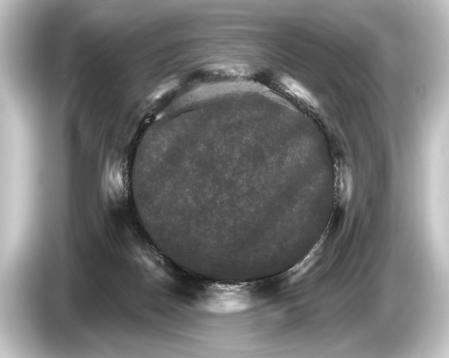 X0000084520170200703161554