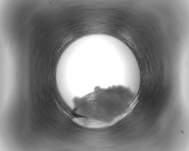 X0000084520171200703161554