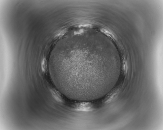 X0000084520173200703161554