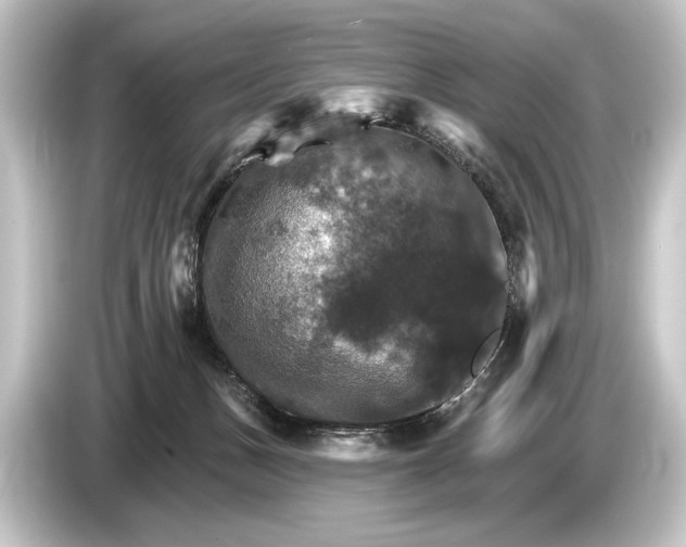 X0000084520175200703161555