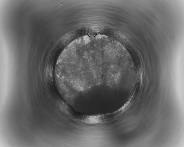 X0000084520178200703161555