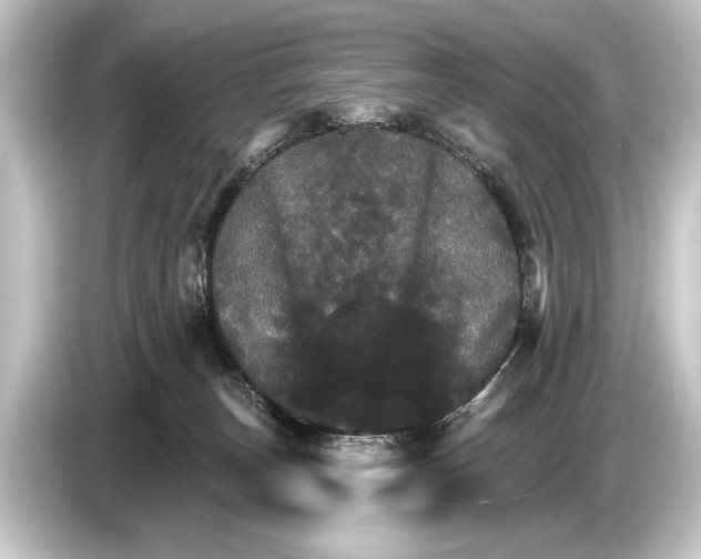 X0000084520179200703161555