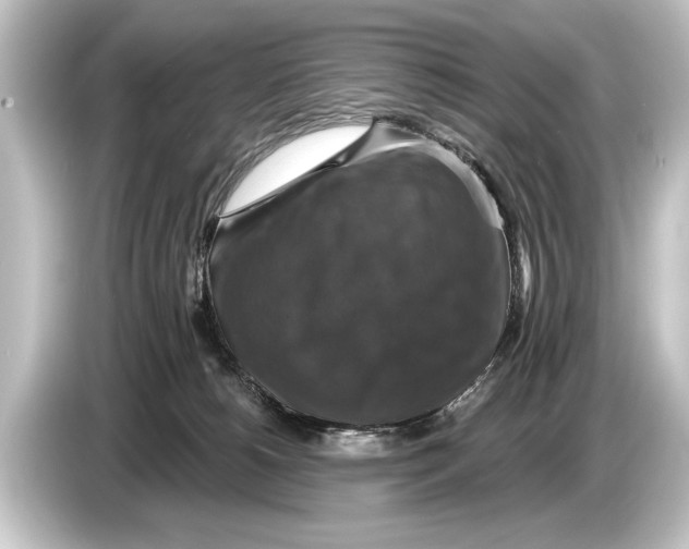 X0000084520180200703161555